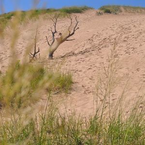 Meet your Posher, Judith